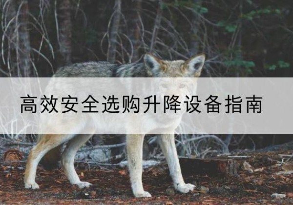 贵港升降货梯厂家推荐-*安全选购升降设备指南