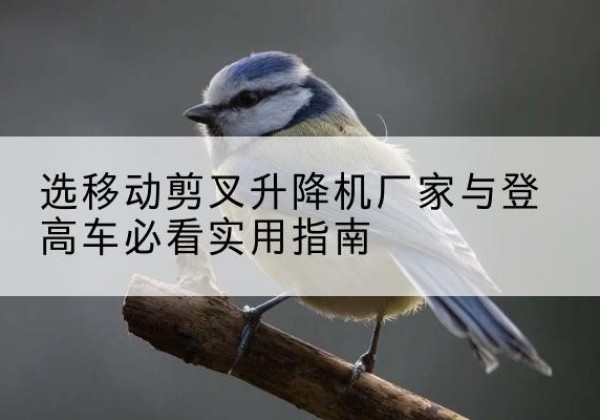 贵港电动升降机厂家-选移动剪叉升降机厂家与登高车必看实用指南