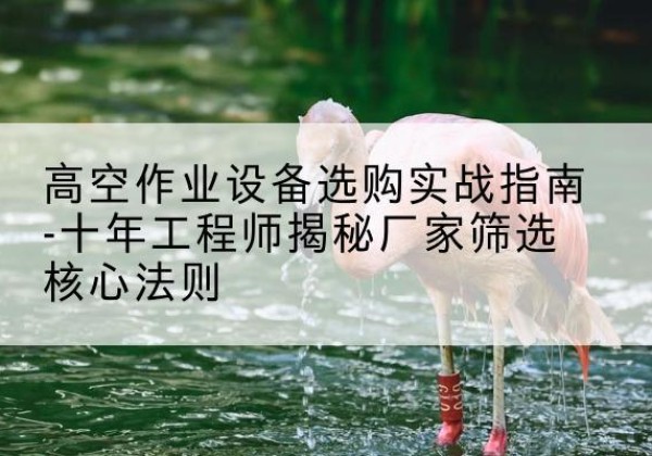 贵港剪叉式升降机厂家-高空作业设备选购实战指南-十年工程师揭秘厂家筛选核心法则